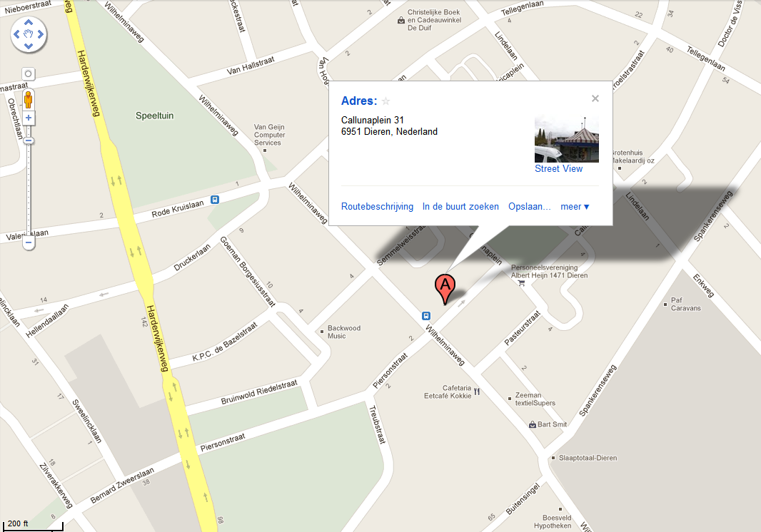 Google Maps detail